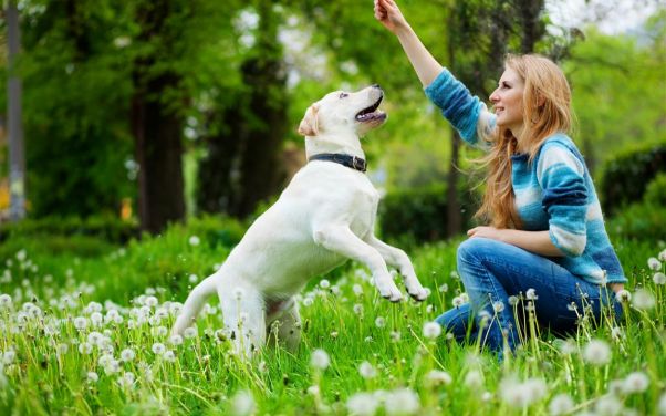 Mobile Veterinarian in Kalamazoo