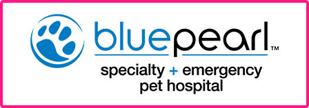 BluePearl Specialty + Emergency Pet Hospital